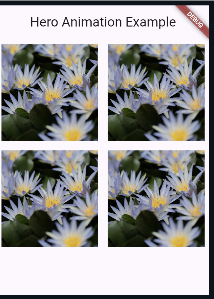 Output of animation in flutter