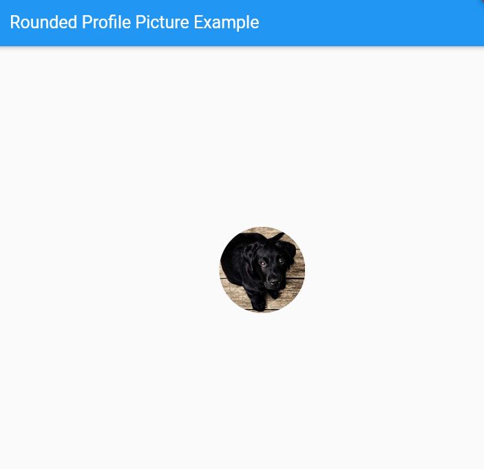 Rounded Profile Pictures in Flutter Output